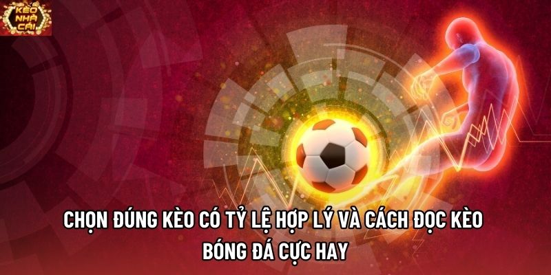 Chọn đúng kèo có tỷ lệ hợp lý và cách đọc kèo bóng đá cực hay Chọn đúng kèo có tỷ lệ hợp lý và cách đọc kèo bóng đá cực hay
