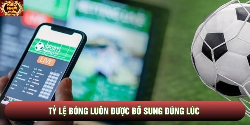 Tỷ lệ bóng luôn được bổ sung đúng lúc Tỷ lệ bóng luôn được bổ sung đúng lúc